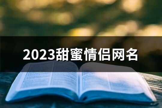 2023甜蜜情侣网名(共188个)