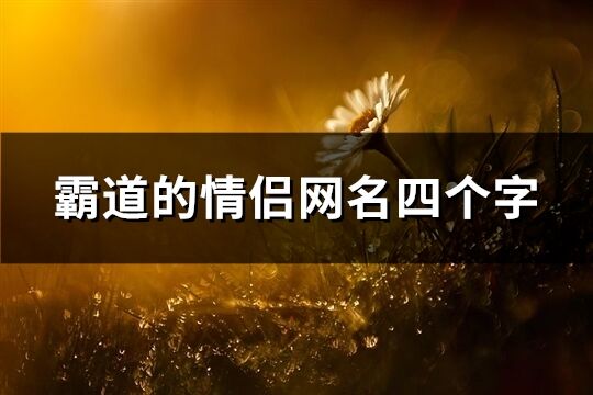 霸道的情侣网名四个字(共458个)