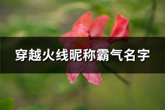 穿越火线昵称霸气名字(共118个)