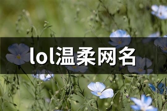 lol温柔网名(精选292个)