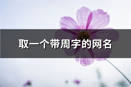 取一个带周字的网名(精选106个)