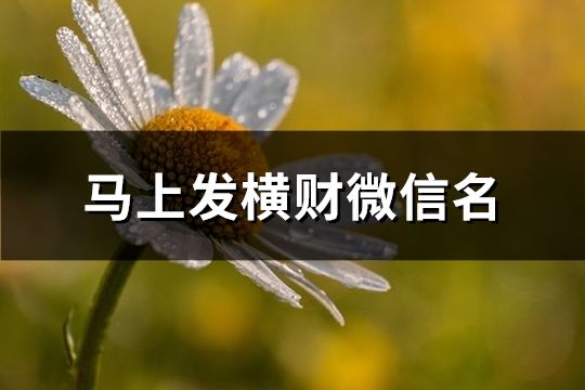 马上发横财微信名(精选138个)