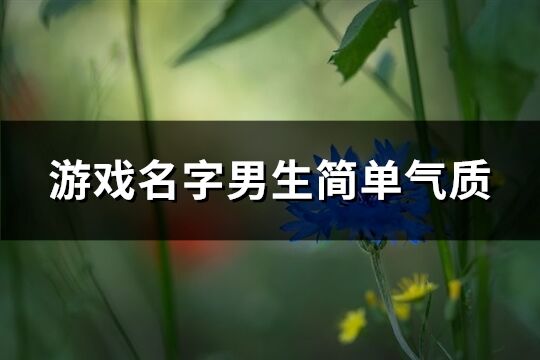 游戏名字男生简单气质(精选282个)