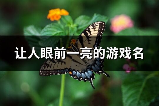 让人眼前一亮的游戏名(511个)