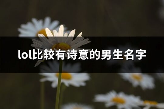 lol比较有诗意的男生名字(164个)