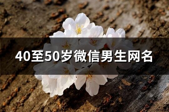 40至50岁微信男生网名(493个)