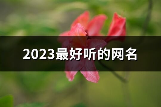 2023最好听的网名(共1341个) 2023最好听的网名(共1341个)