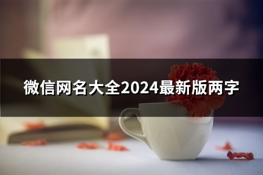 微信网名大全2024最新版两字(共145个)