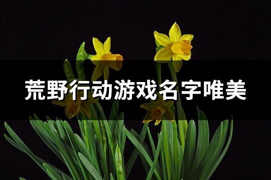 荒野行动游戏名字唯美(322个)