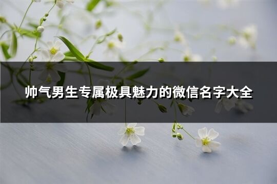 帅气男生专属极具魅力的微信名字大全(优选122个)