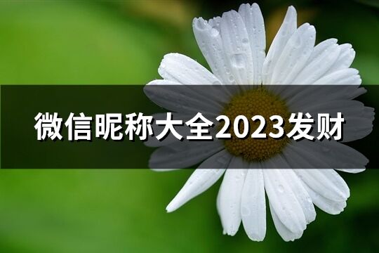 微信昵称大全2023发财(836个)