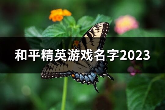 和平精英游戏名字2023(共878个)