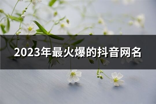 2023年最火爆的抖音网名(620个)