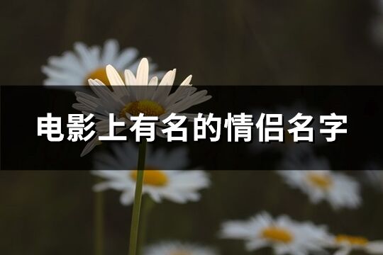 电影上有名的情侣名字(共116个)