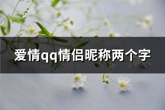 爱情qq情侣昵称两个字(优选186个)