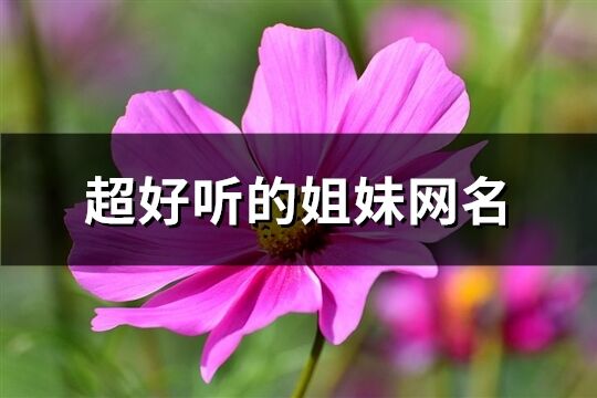 超好听的姐妹网名(精选283个)