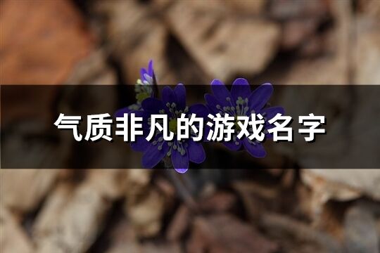 气质非凡的游戏名字(共195个)