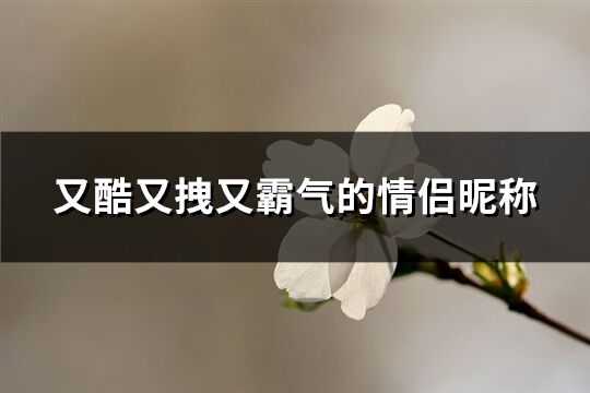 又酷又拽又霸气的情侣昵称(共121个)