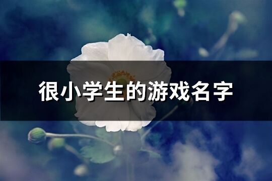 很小学生的游戏名字(153个)