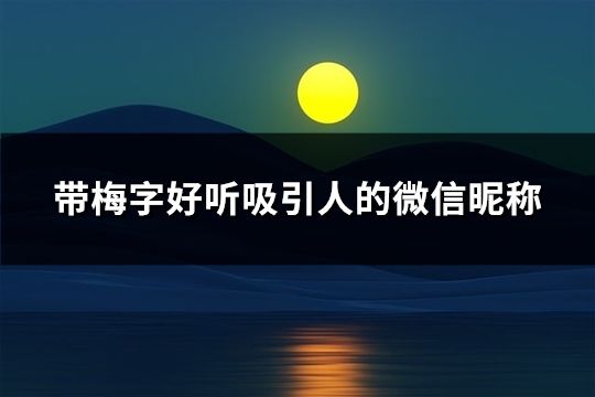 带梅字好听吸引人的微信昵称(精选76个)