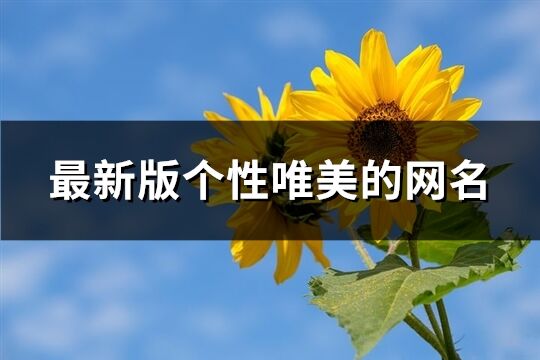 最新版个性唯美的网名(精选320个)