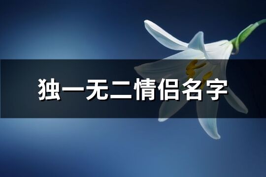 独一无二情侣名字(共824个)