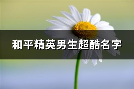 和平精英男生超酷名字(共286个)