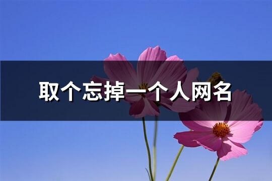 取个忘掉一个人网名(精选122个)