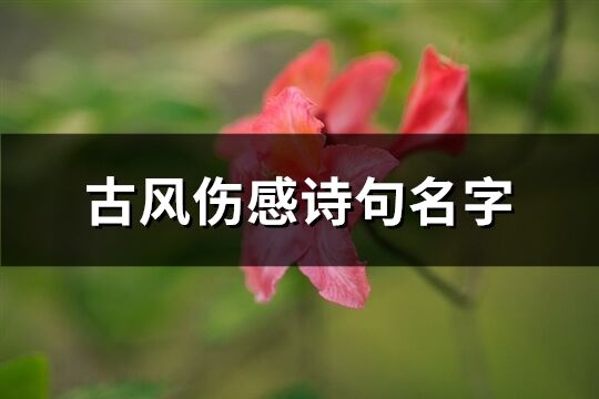 古风伤感诗句名字(优选78个)