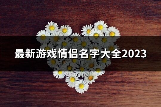 最新游戏情侣名字大全2023(69个)