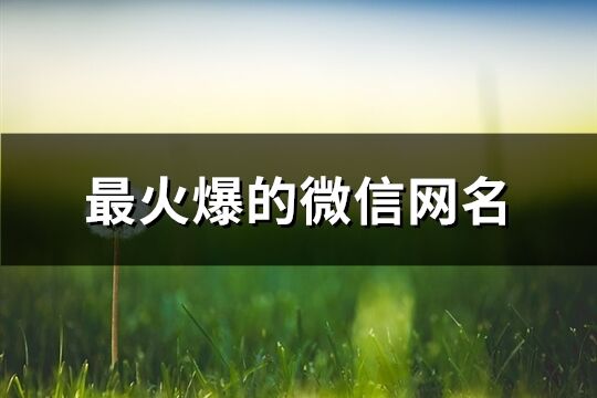 最火爆的微信网名(精选742个)