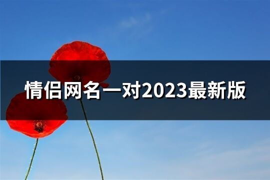 情侣网名一对2023最新版(精选321个)