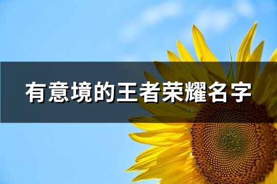 有意境的王者荣耀名字(优选341个)