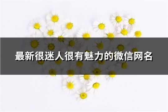 最新很迷人很有魅力的微信网名(187个)