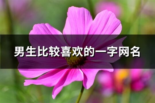 男生比较喜欢的一字网名(共272个)