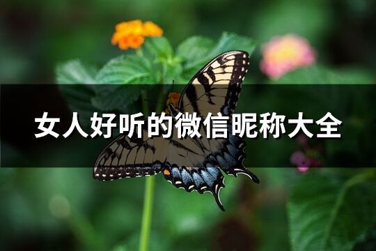 女人好听的微信昵称大全(共267个)