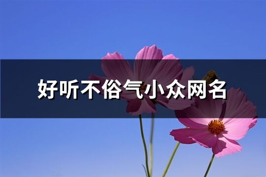 好听不俗气小众网名(共572个)