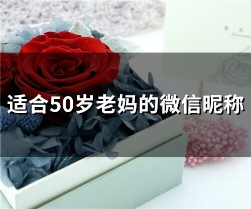 适合50岁老妈的微信昵称(274个)