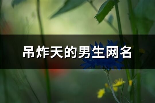 吊炸天的男生网名(精选389个)