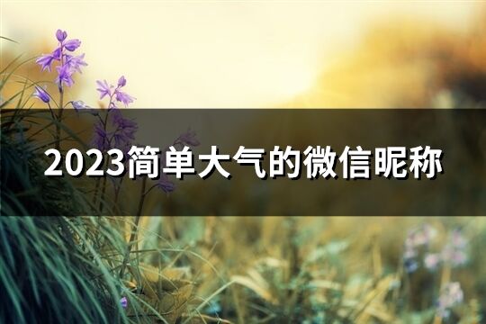 2023简单大气的微信昵称(628个)