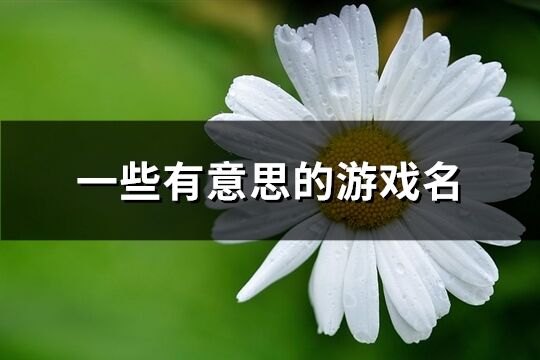 一些有意思的游戏名(优选339个)