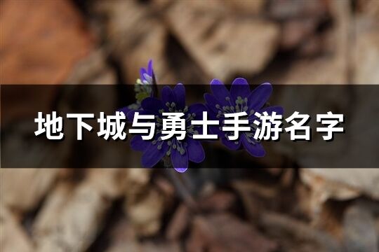 地下城与勇士手游名字(共116个)