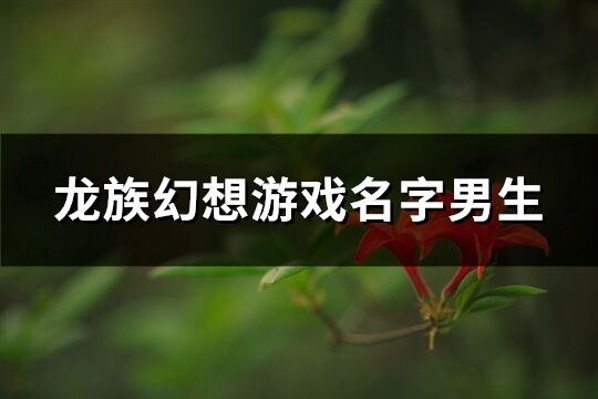 龙族幻想游戏名字男生(共233个)