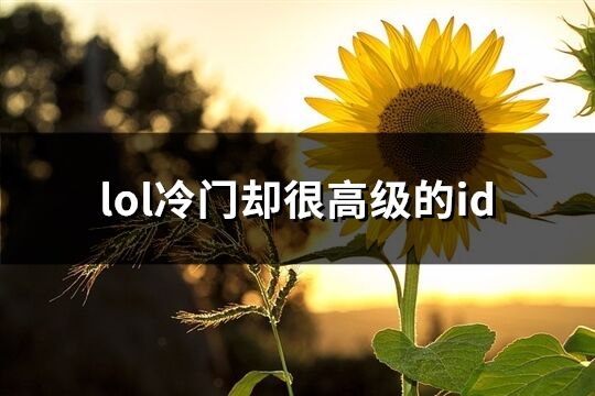 lol冷门却很高级的id(精选62个)