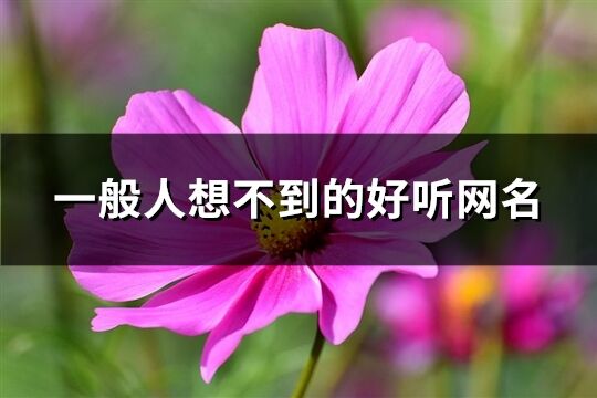 一般人想不到的好听网名(精选234个)