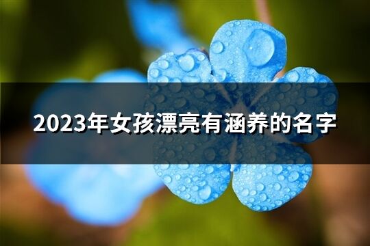 2023年女孩漂亮有涵养的名字(共859个)