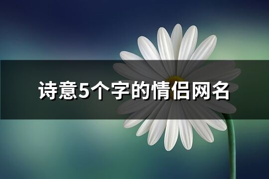 诗意5个字的情侣网名(优选87个)