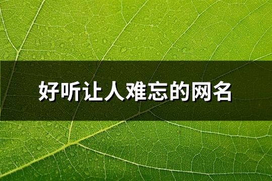 好听让人难忘的网名(110个)