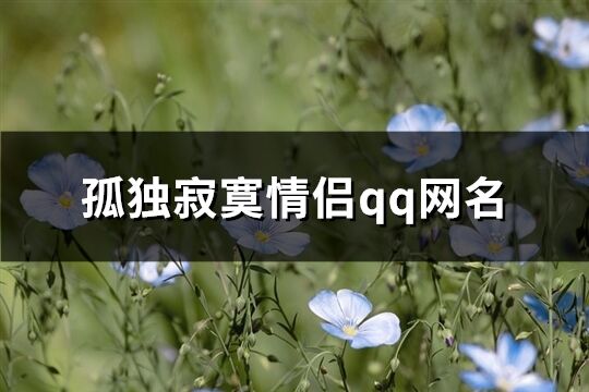 孤独寂寞情侣qq网名(精选63个)