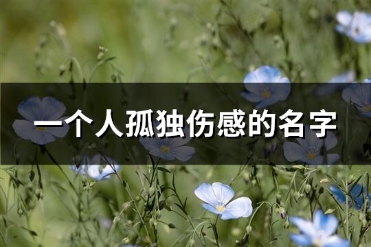 一个人孤独伤感的名字(共428个)